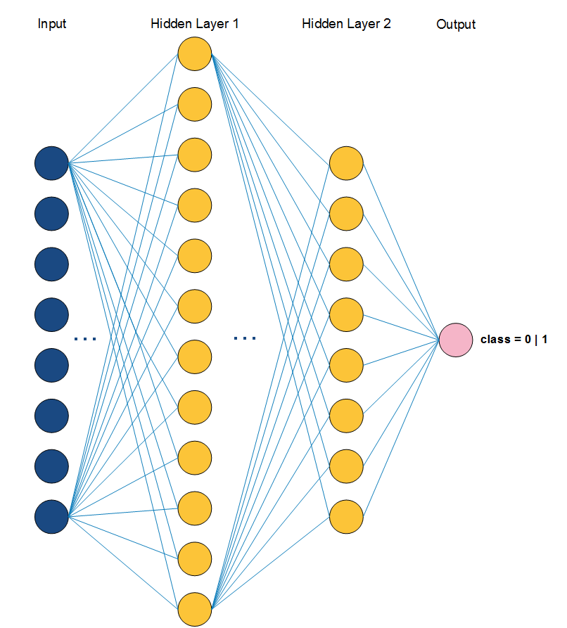 Neural Network Model